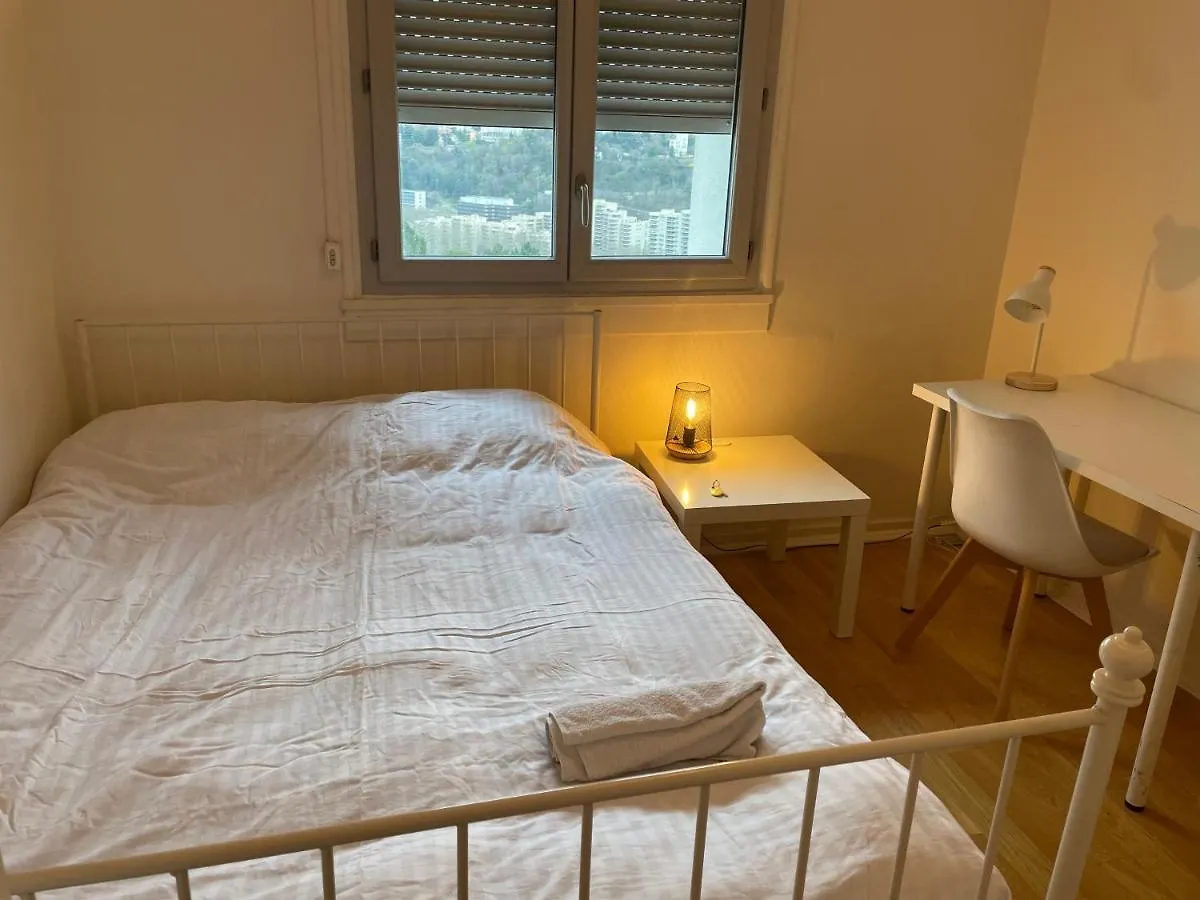 Apartment Chambre Confortable Avec Un Lit Double Lyon